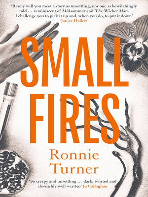 cover image of Small Fires